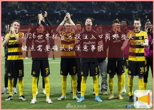 2026世界杯官方投注入口有哪些关键点需要确认和注意事项