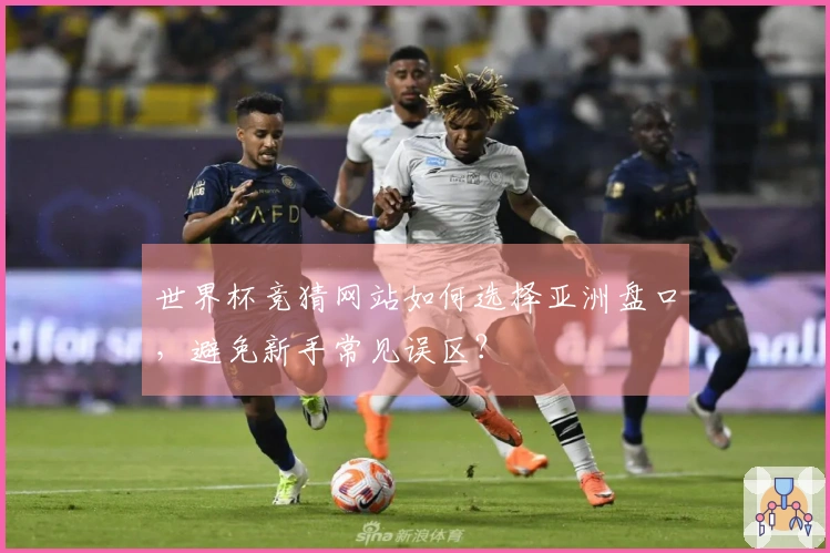 世界杯竞猜网站如何选择亚洲盘口，避免新手常见误区？