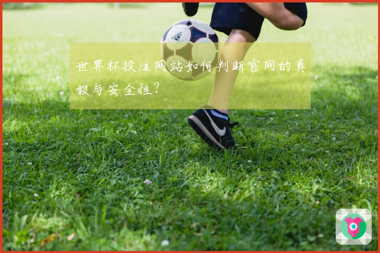 世界杯投注网站如何判断官网的真假与安全性？