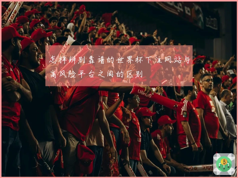 怎样辨别靠谱的世界杯下注网站与高风险平台之间的区别