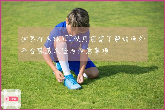 世界杯买球APP使用前需了解的海外平台隐藏风险与注意事项