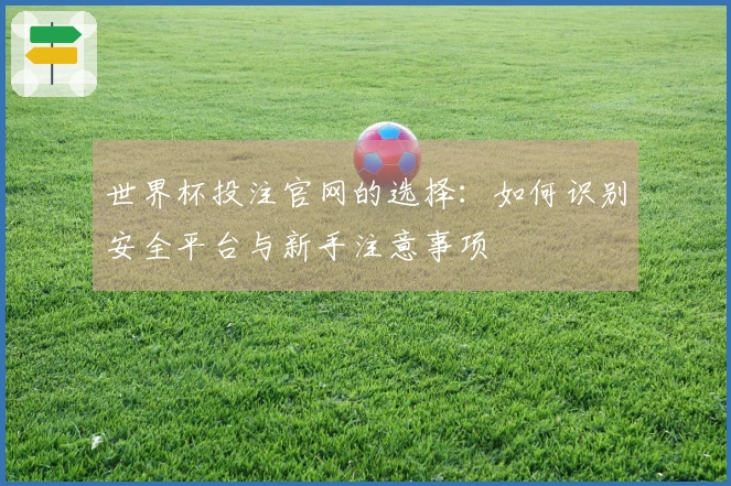 世界杯投注官网的选择：如何识别安全平台与新手注意事项