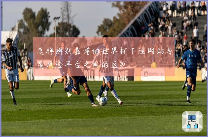 怎样辨别靠谱的世界杯下注网站与高风险平台之间的区别