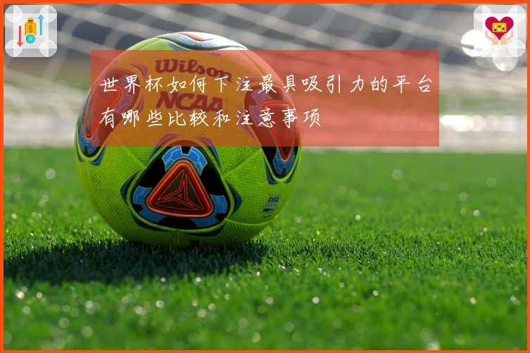 世界杯如何下注最具吸引力的平台有哪些比较和注意事项