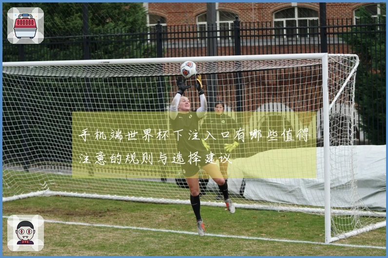 手机端世界杯下注入口有哪些值得注意的规则与选择建议