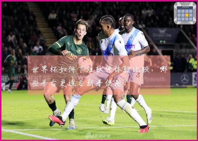 世界杯如何下注软件体验比较，哪些平台更适合新手使用？